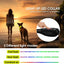 LED Dog Cat Collar USB Rechargeable Nylon Glow Flashing Light Up Safety Puppy