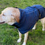 Pet Dog Raincoat Poncho Jacket Windbreaker Waterproof Clothes with Harness Hole-XS-Black