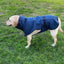 Pet Dog Raincoat Poncho Jacket Windbreaker Waterproof Clothes with Harness Hole-XS-Black