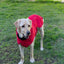 Pet Dog Raincoat Poncho Jacket Windbreaker Waterproof Clothes with Harness Hole-XS-Red