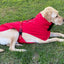 Pet Dog Raincoat Poncho Jacket Windbreaker Waterproof Clothes with Harness Hole-XS-Red