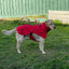 Pet Dog Raincoat Poncho Jacket Windbreaker Waterproof Clothes with Harness Hole-XS-Red