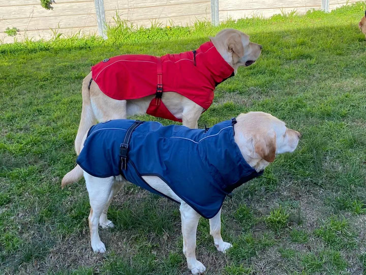 Pet Dog Raincoat Poncho Jacket Windbreaker Waterproof Clothes with Harness Hole-S-Red