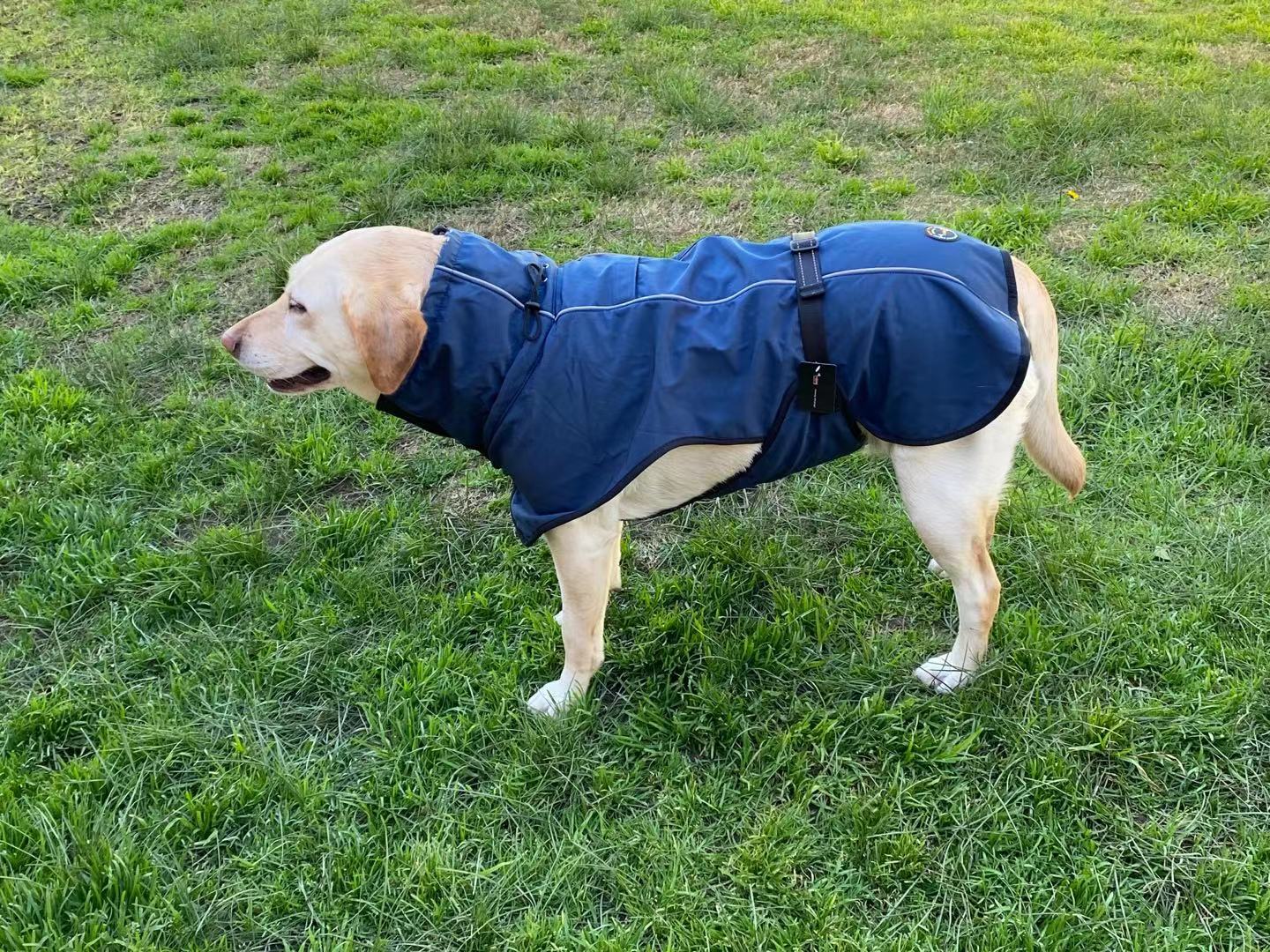 Pet Dog Raincoat Poncho Jacket Windbreaker Waterproof Clothes with Harness Hole-XL-Black