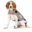 XS Adjustable Autumn/Winter Dog Coat - Warm and Stylish Pet Jacket for Cold Weather, Comfortable and Customizable Fit