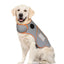 XS Adjustable Autumn/Winter Dog Coat - Warm and Stylish Pet Jacket for Cold Weather, Comfortable and Customizable Fit