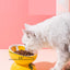 Ceramic Elevated Pet Food Bowl - Cute Pitaya Pattern Design for Cats and Small Dogs