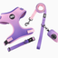 XS Purple-pink Adjustable Soft Pet Harness with Leash & Poop Bag Dispenser