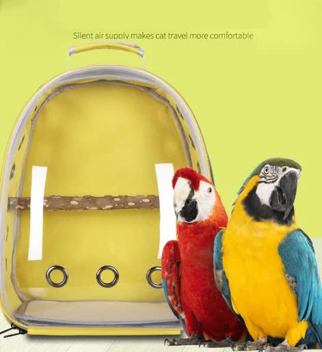 Teal Stylish Transparent PVC Pet Carrier Backpack - Large Capacity, Multi-Use for Birds & Cats(Including Wooden Stick)