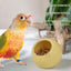 Anti-Splash Ceramic Parrot Feeder Bowl Pink（Pack of 1）- Gnaw-Resistant Bird Food Dish with Stable Base, 150ml Capacity, Smooth Glaze Finish for Small Birds