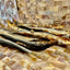 1x Just Whole Sardines