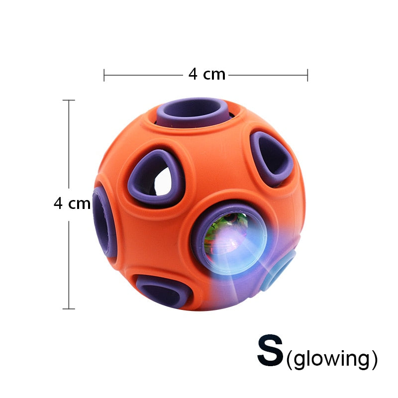 Interactive Rubber Pet Ball