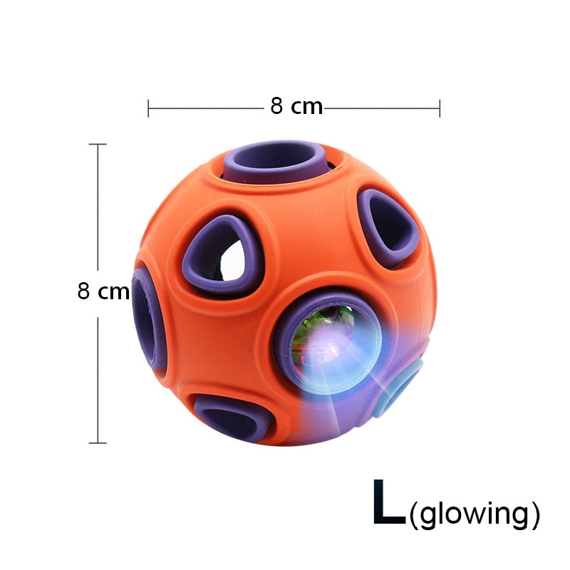 Interactive Rubber Pet Ball