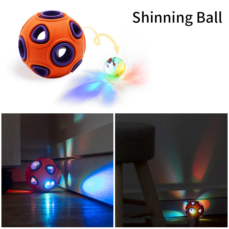 Interactive Rubber Pet Ball