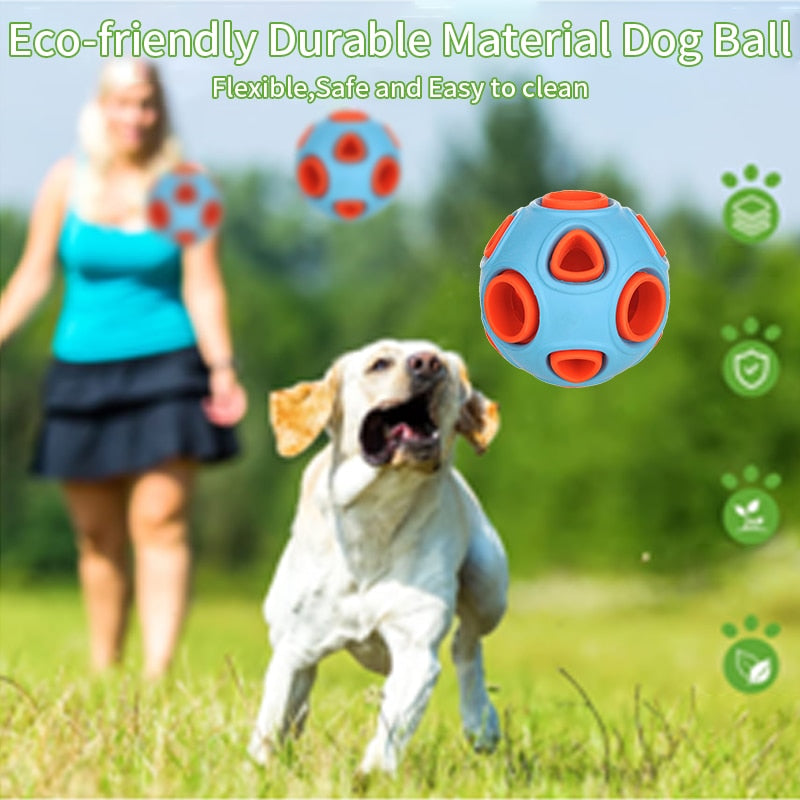 Interactive Rubber Pet Ball