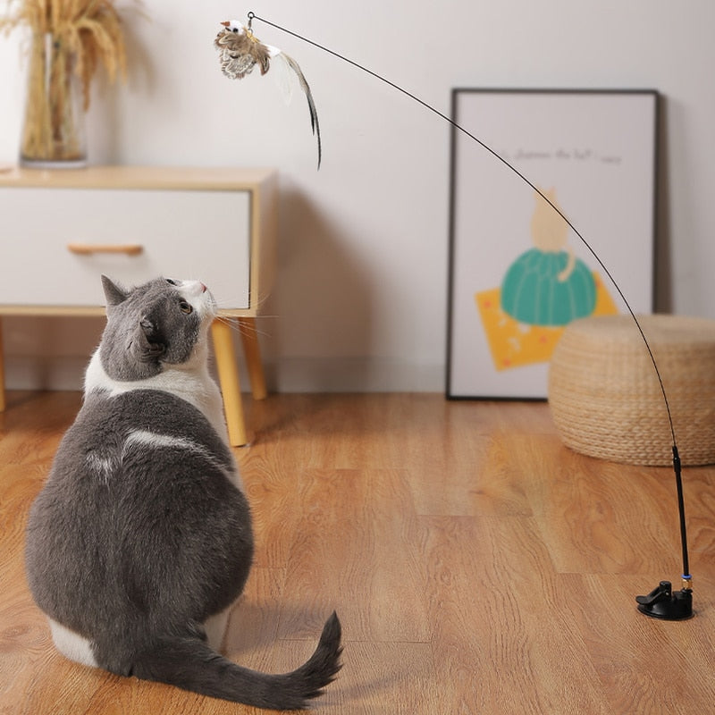 Suction Cup Fishing Rod and Bird Interactive Cat Toy