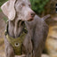 Lightweight Harness Army Green S