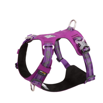 Harness Lightweight 3M reflective Purple M