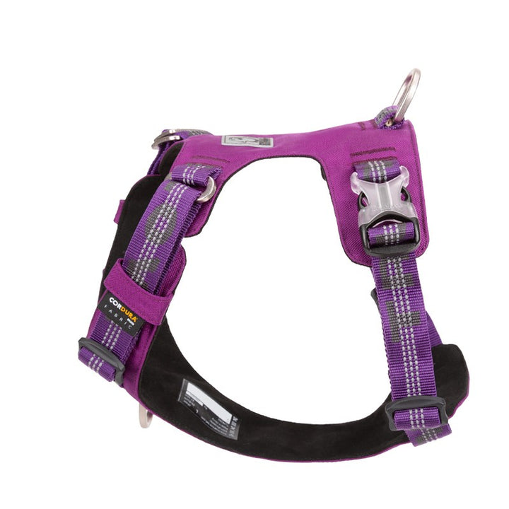 Harness Lightweight 3M reflective Purple M