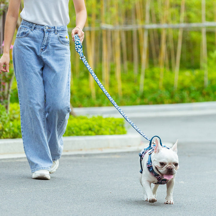 Floral Multi Handle Saxony Leash Blue - L