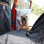 iBuddy Dog Seat Cover Car Hammock w/ Mesh Window & Dog Seat Belt